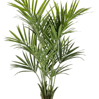 Künstliche Kentia Palme - Cecilia | 172 cm*