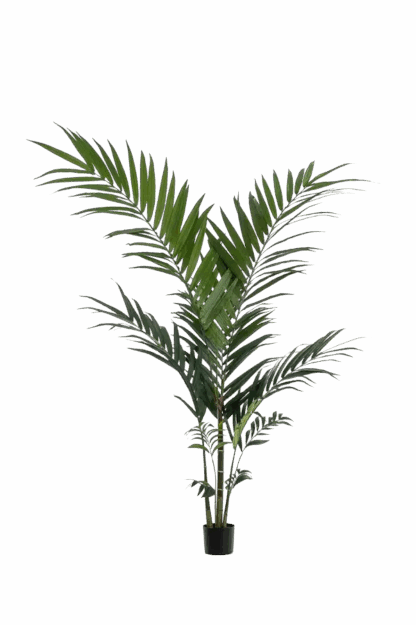 Künstliche Kentia Palme - Nathalie | 150 cm*