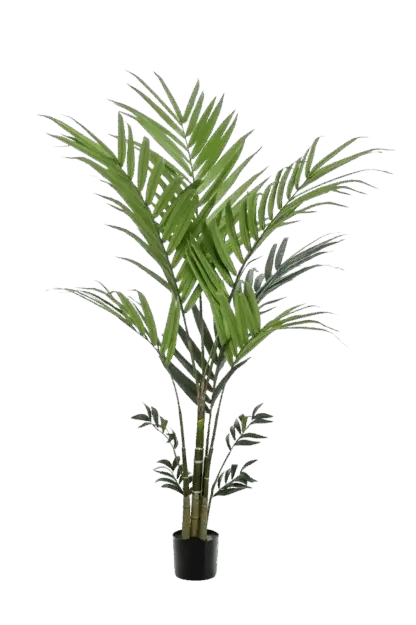 Künstliche Kentia Palme - Nathalie | 180 cm*