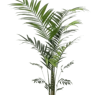 Künstliche Kentia Palme - Nathalie | 210 cm*