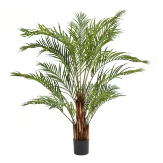 Künstliche Kentia-Palme – Caliora | 180 cm*