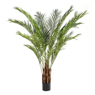 Künstliche Kentia-Palme – Caliora | 210 cm*