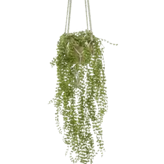 Künstliche Kletterfeige - Hagrid | 100 cm, im Topf*