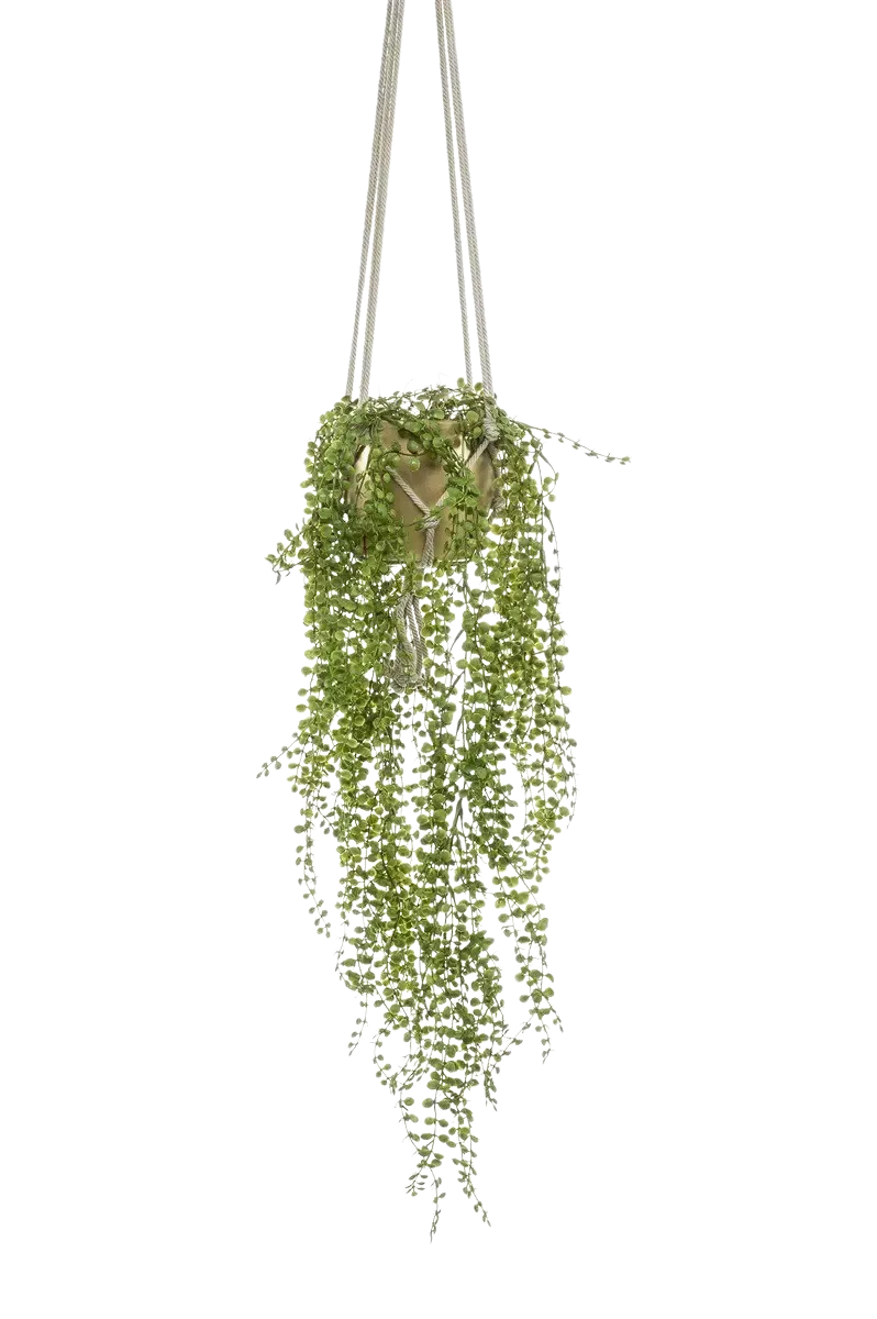 Künstliche Kletterfeige - Hagrid | 100 cm, im Topf*