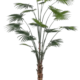 Künstliche Livistona Palme - Flo | 240 cm*