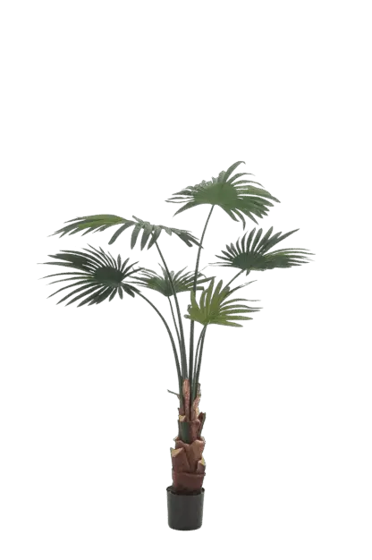 Künstliche Livistona Palme - Mera | 110 cm*