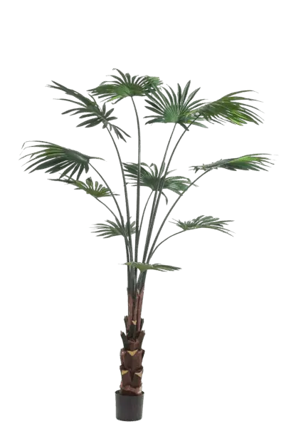 Künstliche Livistona Palme - Terra | 180 cm*