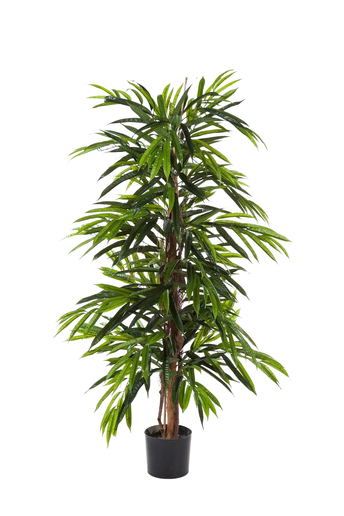 Künstliche Longifolia - Marvin | 120 cm*