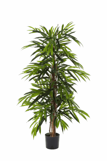 Künstliche Longifolia - Marvin | 150 cm*