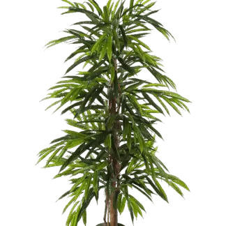 Künstliche Longifolia - Maurice | 210 cm*
