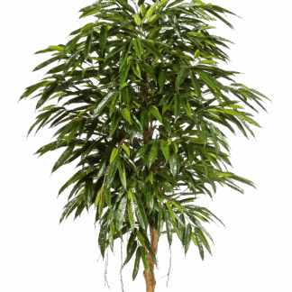 Künstliche Longifolia - Sean | 150 cm*