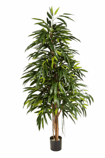 Künstliche Longifolia - Steffen | 150 cm*