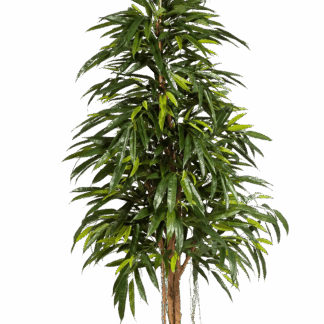 Künstliche Longifolia - Steffen | 180 cm*