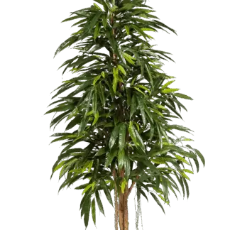 Künstliche Longifolia - Steffen | 210 cm*