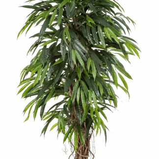 Künstliche Longifolia - Steven | 150 cm*