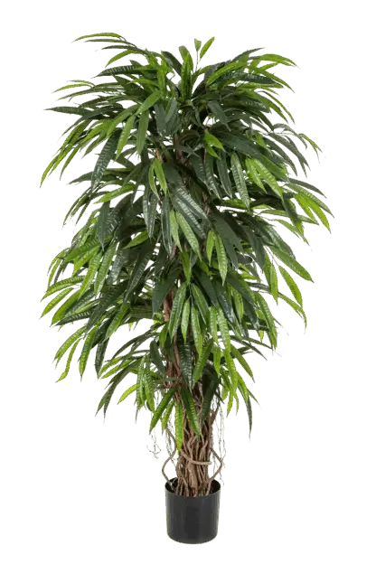 Künstliche Longifolia - Steven | 180 cm*