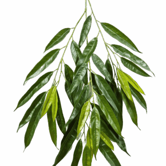 Künstliche Longifolia-Zweig - Georg | 83 cm*