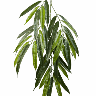 Künstliche Longifolia-Zweig - Gustav*