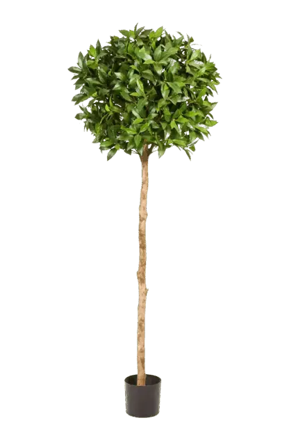 Künstliche Lorbeer - Romy | 140 cm*