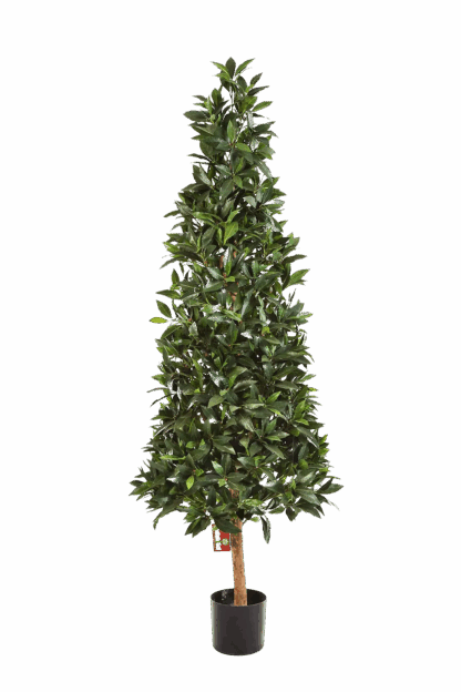 Künstliche Lorbeer - Teresa | 110 cm*