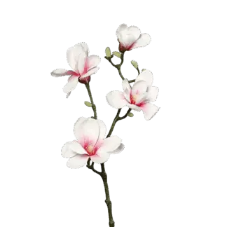Künstliche Magnolien Zweig - Lea | 80 cm*