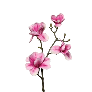 Künstliche Magnolien Zweig - Matilda | 80 cm*
