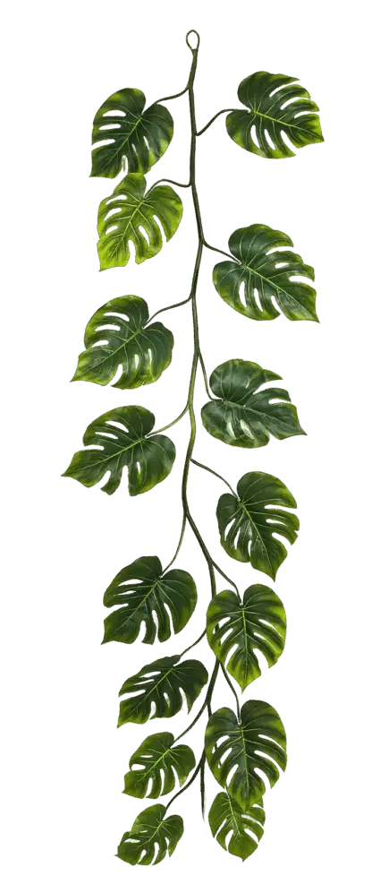 Künstliche Monstera Girlande - Collin | 230 cm*