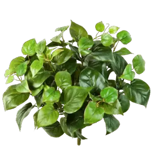Künstliche Monstera - Joe*