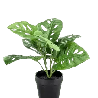 Künstliche Monstera - Jonah | 30 cm*