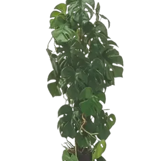 Künstliche Monstera - Luise | 75 cm*