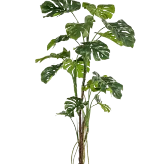 Künstliche Monstera - Mogli | 180 cm*