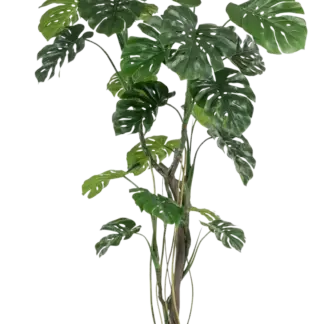 Künstliche Monstera - Mogli | 210 cm*