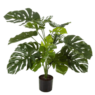 Künstliche Monstera - Tayler | 85 cm*