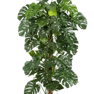 Künstliche Monstera - Thore | 160 cm*
