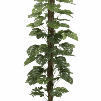 Künstliche Monstera am Stamm - Toni | 120 cm*