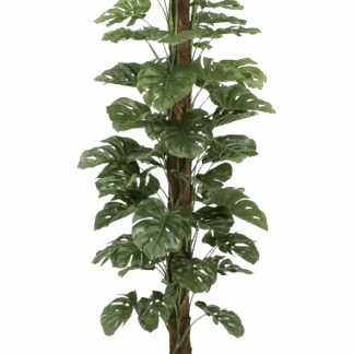 Künstliche Monstera am Stamm - Toni | 180 cm*