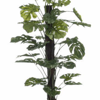 Künstliche Monstera am Stamm - Toni | 210 cm*