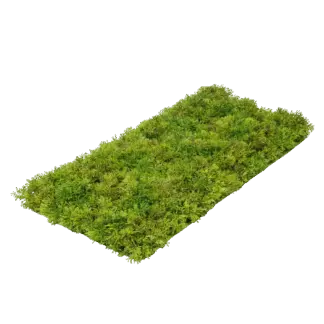Künstliche Moosmatte - Aloisia | 25x50cm*
