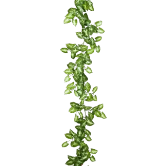 Künstliche Nephthytis Girlande - Annabell | 180 cm*