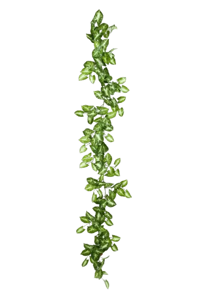Künstliche Nephthytis Girlande - Annabell | 180 cm*