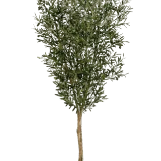 Künstliche Olivenbaum - Ilona | 180 cm*