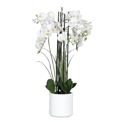 Künstliche Orchidee - Adin | 100 cm*