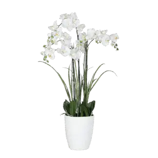 Künstliche Orchidee - Aylin | 120 cm, Real Touch*