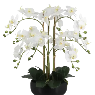 Künstliche Orchidee - Bo | 65 cm*