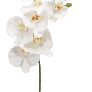 Künstliche Orchidee - Cattley | 83 cm, Real Touch*
