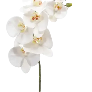 Künstliche Orchidee - Chen Lu | 86 cm*