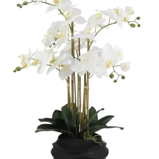 Künstliche Orchidee - Chi | 67 cm*