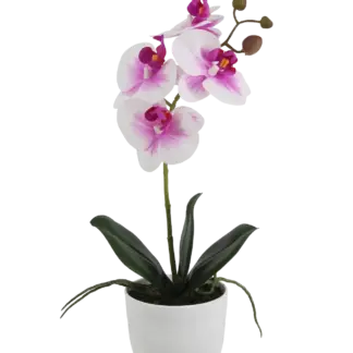 Künstliche Orchidee - Dan  | 36 cm*