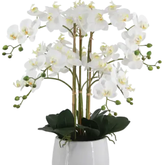 Künstliche Orchidee - Dan | 66 cm*