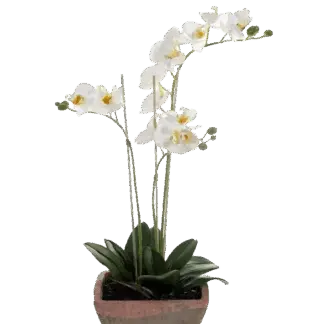Künstliche Orchidee - Dolores | 50 cm*